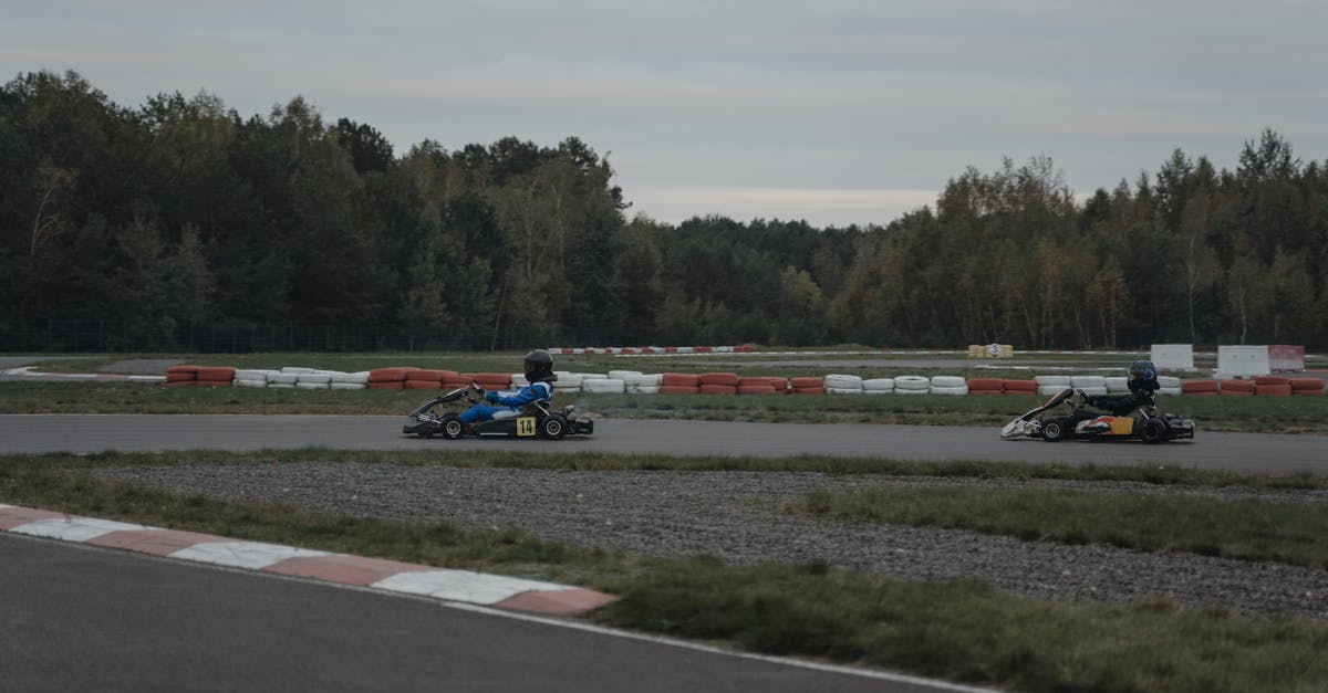 découvrez le monde passionnant du karting, une activité palpitante qui allie vitesse, adrénaline et compétition. que vous soyez débutant ou pilote expérimenté, vivez des moments inoubliables sur des circuits adaptés à tous les niveaux. rejoignez-nous pour des courses en famille ou entre amis et améliorez vos compétences en pilotage tout en vous amusant !