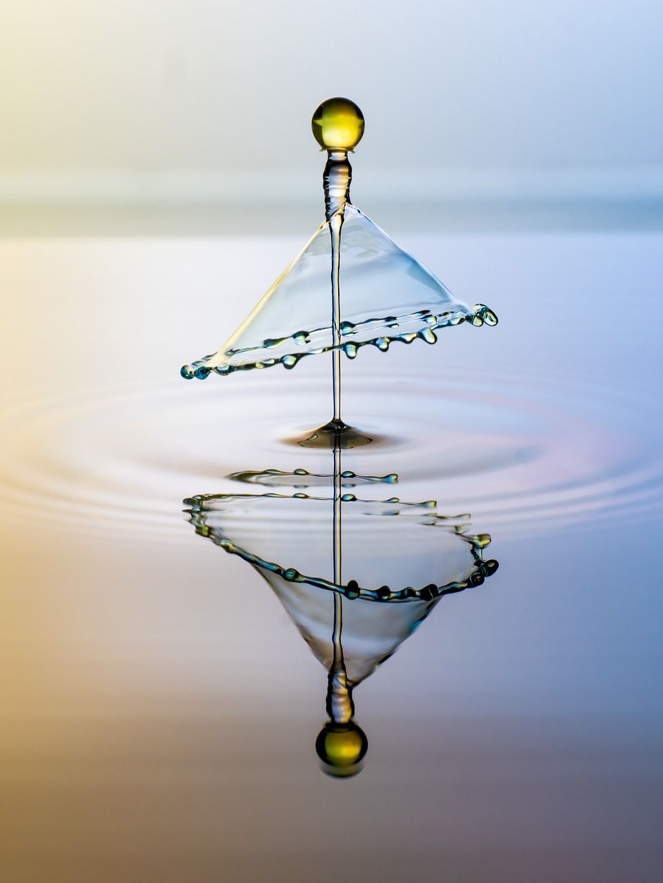 explorez l'impact environnemental des activités humaines et découvrez les enjeux écologiques cruciaux. analysez les effets sur notre planète, des changements climatiques aux pertes de biodiversité, et apprenez comment chacun peut contribuer à un avenir plus durable.