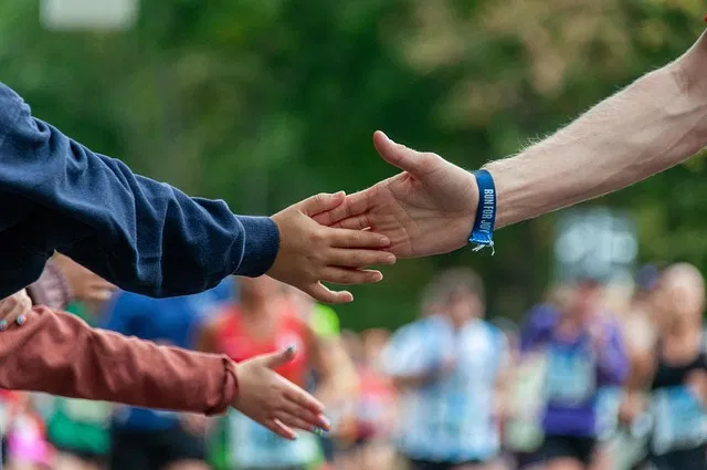 Une analyse de la participation au championnat : enjeux et perspectives