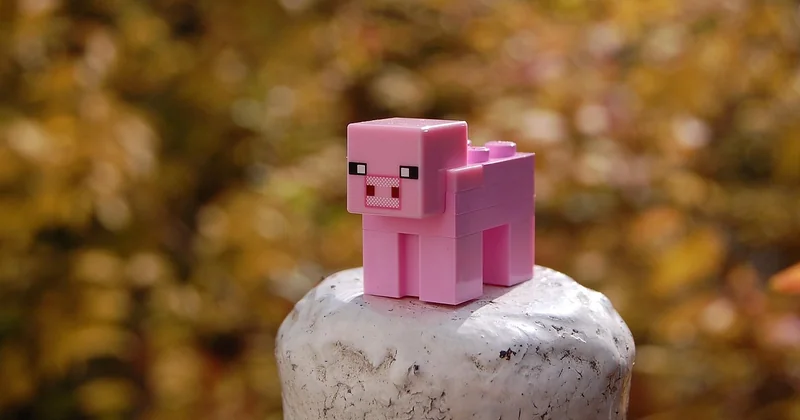 Brèche 5 Minecraft : existe-t-il ?