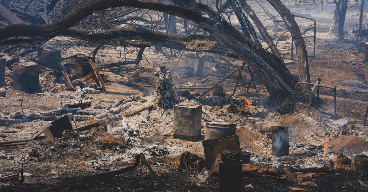 découvrez l'impact environnemental de nos actions quotidiennes et apprenez comment contribuer à la protection de notre planète. explorez les solutions durables pour réduire votre empreinte écologique et favoriser un avenir plus vert.