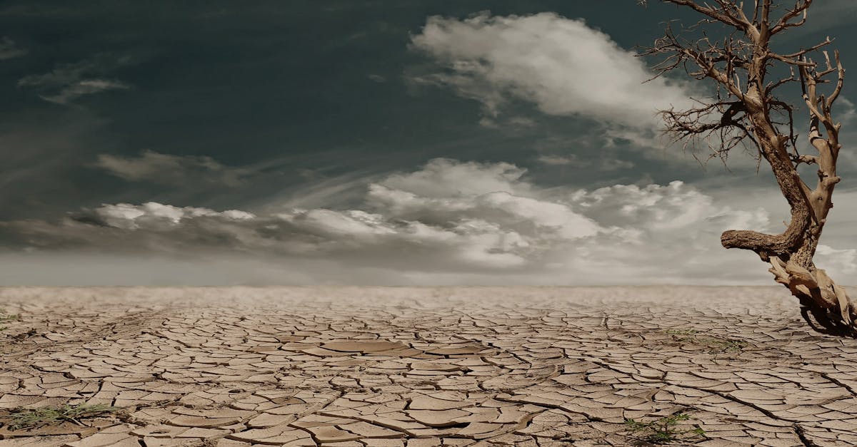 découvrez l'impact environnemental de nos actions quotidiennes et explorez des solutions durables pour préserver notre planète. informez-vous sur les enjeux écologiques et engagez-vous pour un avenir plus vert.