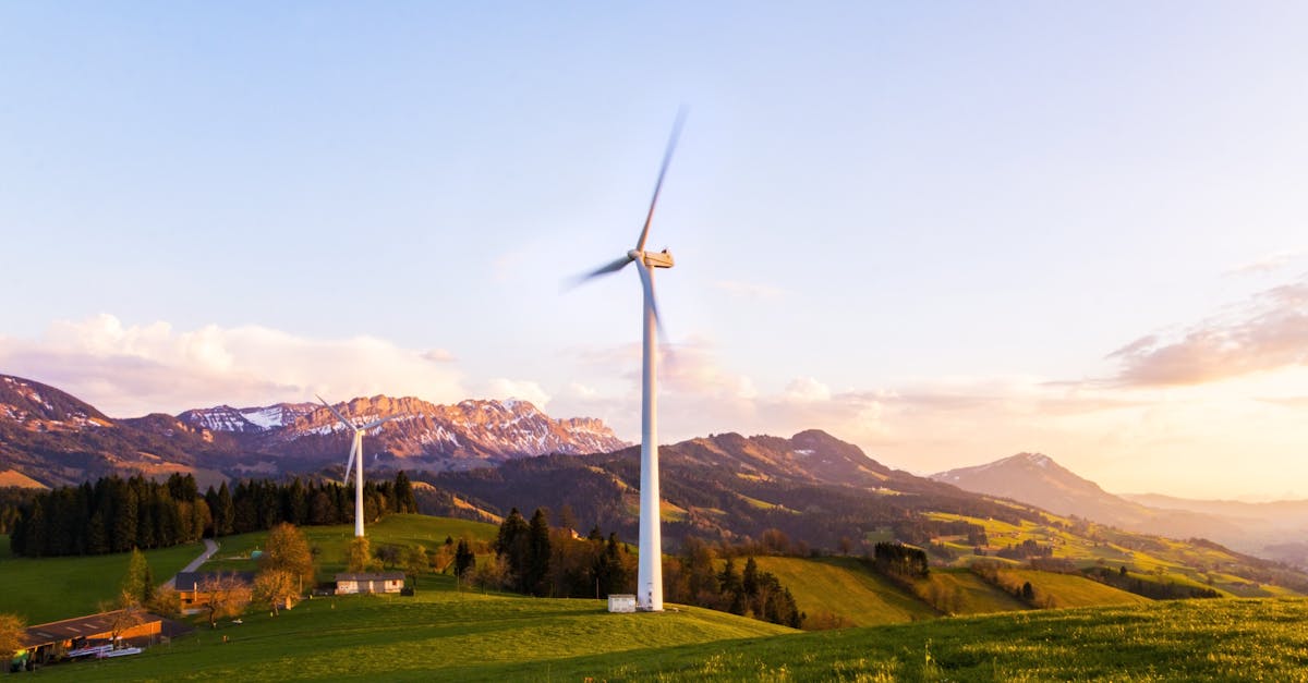 découvrez les principes de la durabilité et les solutions pour un avenir plus responsable. informez-vous sur les actions et stratégies pour préserver l'environnement grâce à la sustainability.