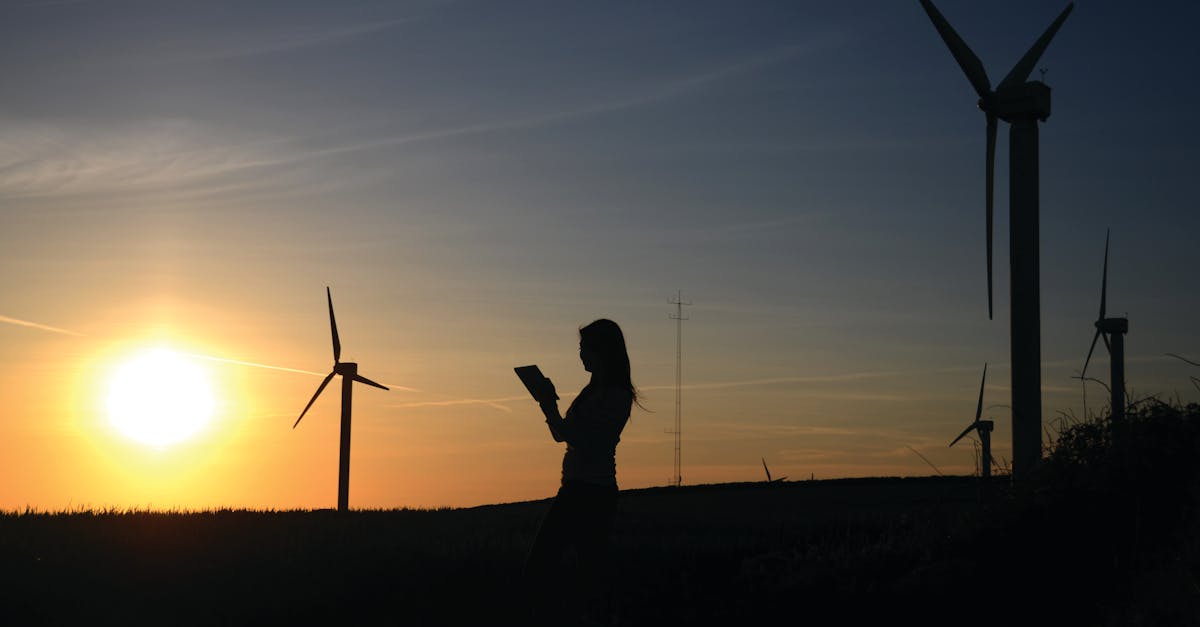 découvrez tout sur la sustainability : principes, enjeux et solutions pour adopter un mode de vie et des pratiques respectueuses de l'environnement, favorisant un avenir durable pour tous.