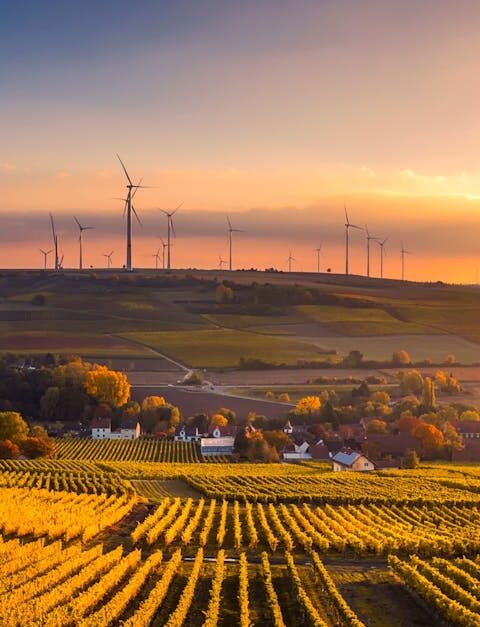 découvrez comment adopter une approche durable au quotidien pour préserver l’environnement, réduire votre empreinte écologique et contribuer à un avenir plus responsable.